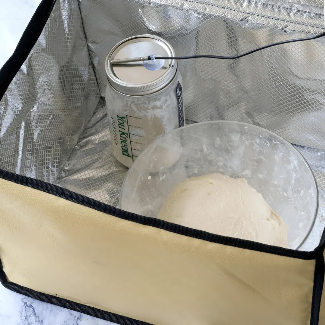 proofing box with starter and dough